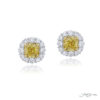 Gorgeous Glamour: Timeless 2.66 ctw. Fancy Yellow Radiant-Cut Diamond Halo Stud Earrings in Platinum & 18KY Gold